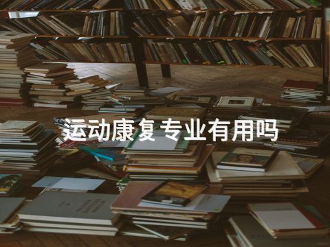 運(yùn)動(dòng)康復(fù)專業(yè)有用嗎(圖1) 運(yùn)動(dòng)康復(fù)專業(yè)有用嗎(圖1)