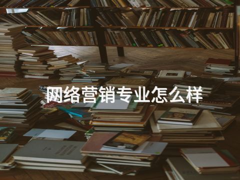 網絡營銷專業怎么樣(圖1) 網絡營銷專業怎么樣(圖1)