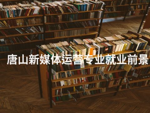 唐山新媒體運營專業(yè)就業(yè)前景(圖1) 唐山新媒體運營專業(yè)就業(yè)前景(圖1)