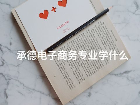 承德電子商務專業學什么(圖1) 承德電子商務專業學什么(圖1)