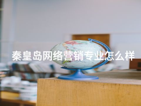 秦皇島網絡營銷專業怎么樣(圖1) 秦皇島網絡營銷專業怎么樣(圖1)