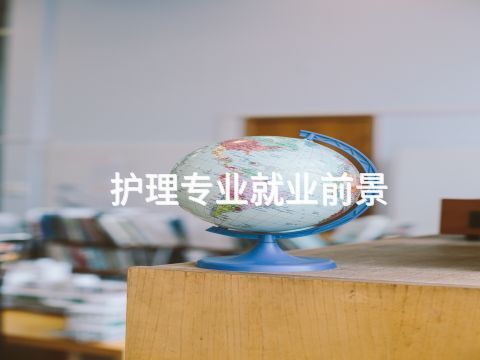 護(hù)理專業(yè)就業(yè)前景(圖1) 護(hù)理專業(yè)就業(yè)前景(圖1)