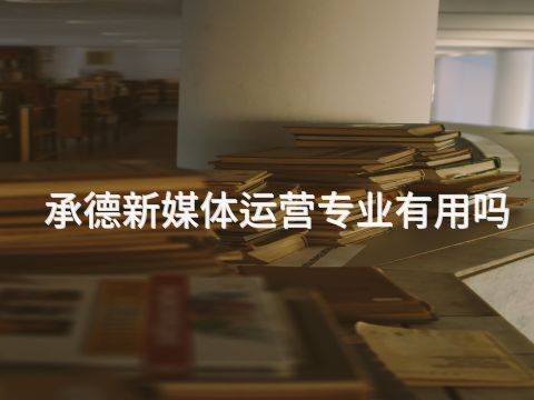 承德新媒體運營專業有用嗎(圖1) 承德新媒體運營專業有用嗎(圖1)