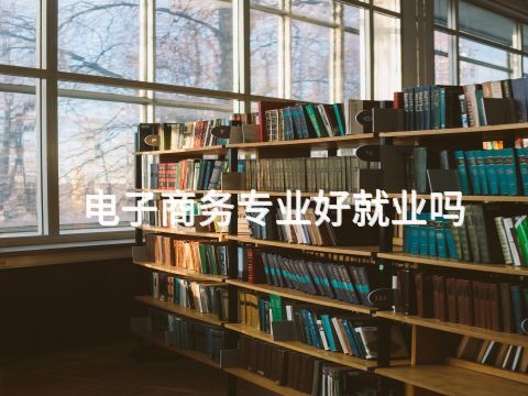 電子商務專業(yè)好就業(yè)嗎(圖1) 電子商務專業(yè)好就業(yè)嗎(圖1)