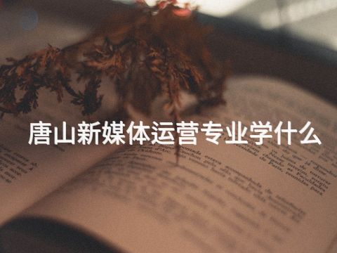 唐山新媒體運營專業學什么(圖1) 唐山新媒體運營專業學什么(圖1)
