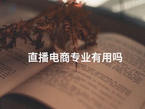 直播電商專業有用嗎(圖1) 直播電商專業有用嗎(圖1)