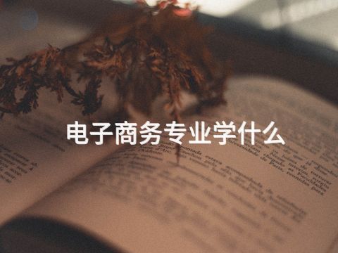電子商務(wù)專業(yè)學(xué)什么(圖1) 電子商務(wù)專業(yè)學(xué)什么(圖1)