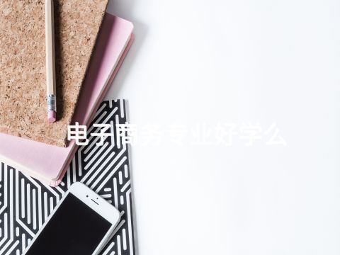 電子商務(wù)專業(yè)好學(xué)么(圖1) 電子商務(wù)專業(yè)好學(xué)么(圖1)
