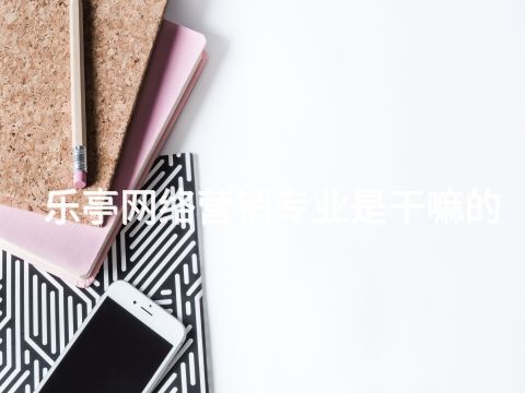 樂(lè)亭網(wǎng)絡(luò)營(yíng)銷專業(yè)是干嘛的(圖1) 樂(lè)亭網(wǎng)絡(luò)營(yíng)銷專業(yè)是干嘛的(圖1)