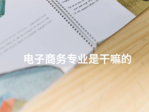 電子商務專業是干嘛的(圖1) 電子商務專業是干嘛的(圖1)