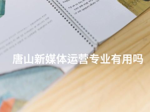 唐山新媒體運營專業有用嗎(圖1) 唐山新媒體運營專業有用嗎(圖1)
