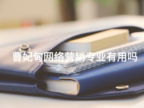 曹妃甸網絡營銷專業有用嗎(圖1) 曹妃甸網絡營銷專業有用嗎(圖1)