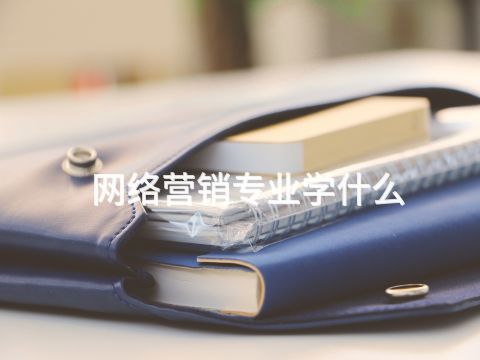 網(wǎng)絡營銷專業(yè)學什么(圖1) 網(wǎng)絡營銷專業(yè)學什么(圖1)