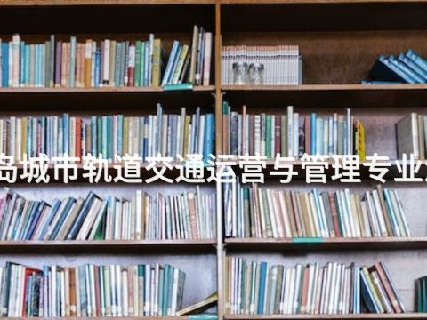 秦皇島城市軌道交通運營與管理專業怎么樣(圖1) 秦皇島城市軌道交通運營與管理專業怎么樣(圖1)