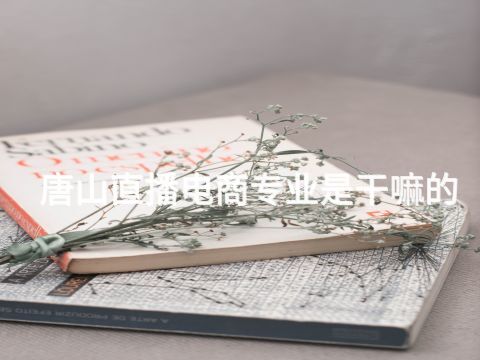 唐山直播電商專業(yè)是干嘛的(圖1) 唐山直播電商專業(yè)是干嘛的(圖1)