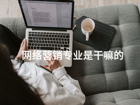 網絡營銷專業是干嘛的(圖1) 網絡營銷專業是干嘛的(圖1)