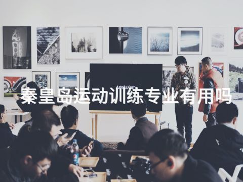 秦皇島運(yùn)動(dòng)訓(xùn)練專(zhuān)業(yè)有用嗎(圖1) 秦皇島運(yùn)動(dòng)訓(xùn)練專(zhuān)業(yè)有用嗎(圖1)