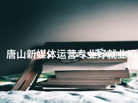 唐山新媒體運(yùn)營(yíng)專(zhuān)業(yè)好就業(yè)嗎(圖1) 唐山新媒體運(yùn)營(yíng)專(zhuān)業(yè)好就業(yè)嗎(圖1)