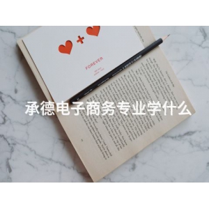 承德電子商務(wù)專業(yè)學(xué)什么
