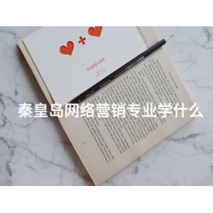 秦皇島網絡營銷專業學什么