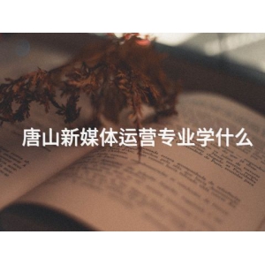 唐山新媒體運(yùn)營專業(yè)學(xué)什么