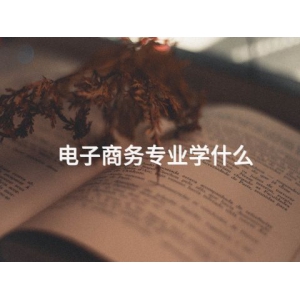 電子商務專業學什么