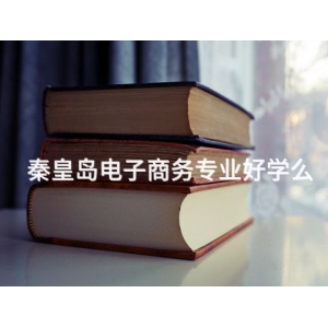 秦皇島電子商務(wù)專業(yè)好學(xué)么