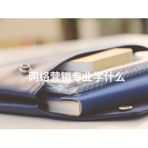 網絡營銷專業學什么