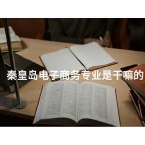 秦皇島電子商務(wù)專業(yè)是干嘛的