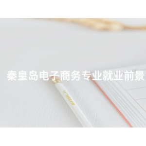 秦皇島電子商務專業(yè)就業(yè)前景