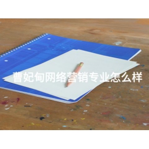 曹妃甸網絡營銷專業怎么樣